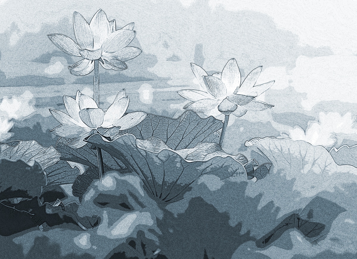 About Block 1 - Lotus Illustration