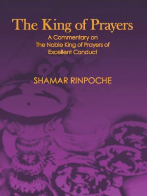 The King of Prayers<br>1st Edition (2014)