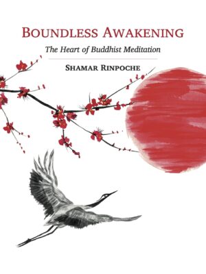 Boundless Awakening 2nd Ed Cover
