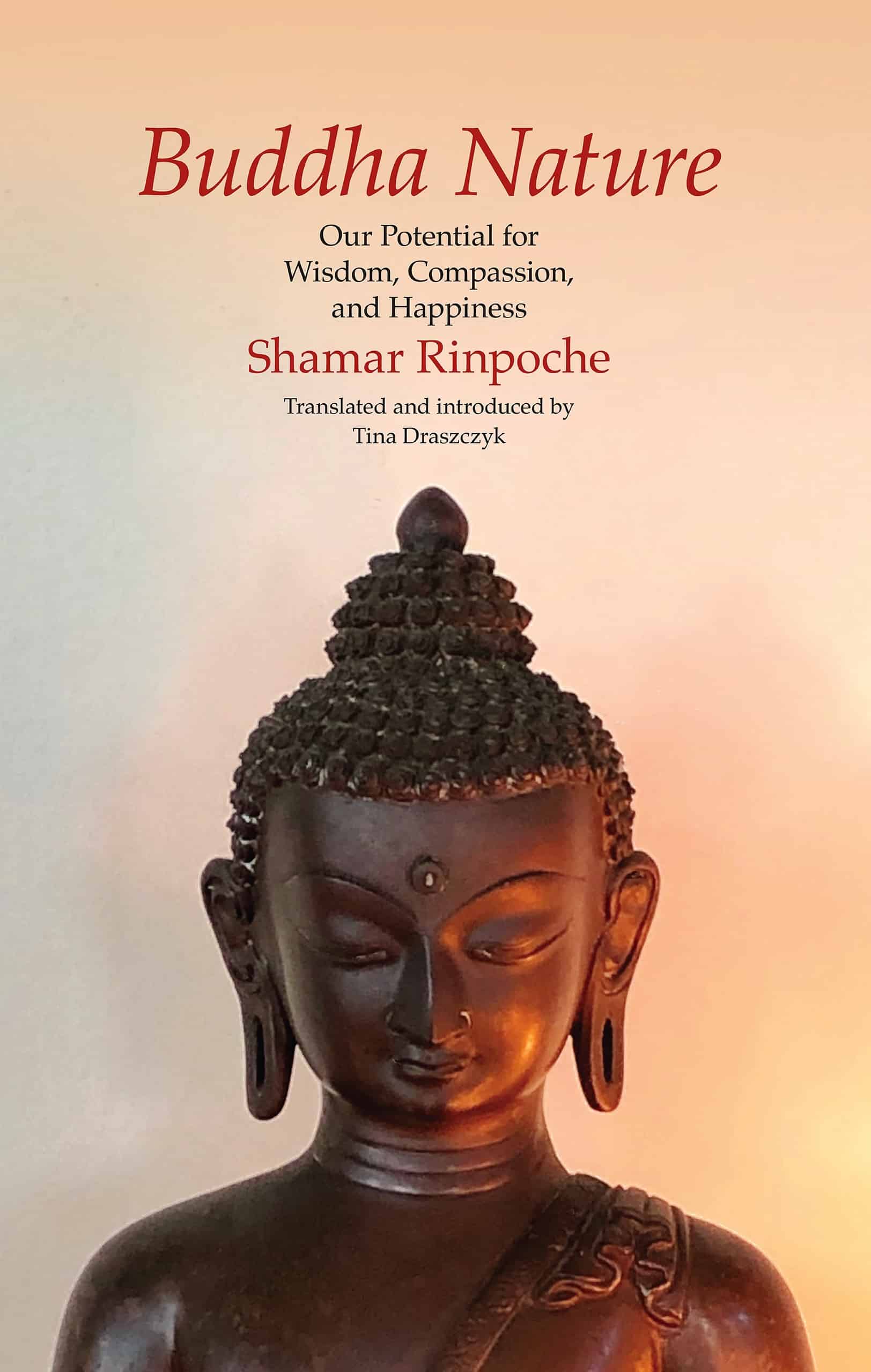 Buddha Nature 1st Edition