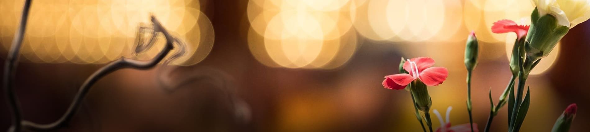 From Photo by Tokpa Korlo