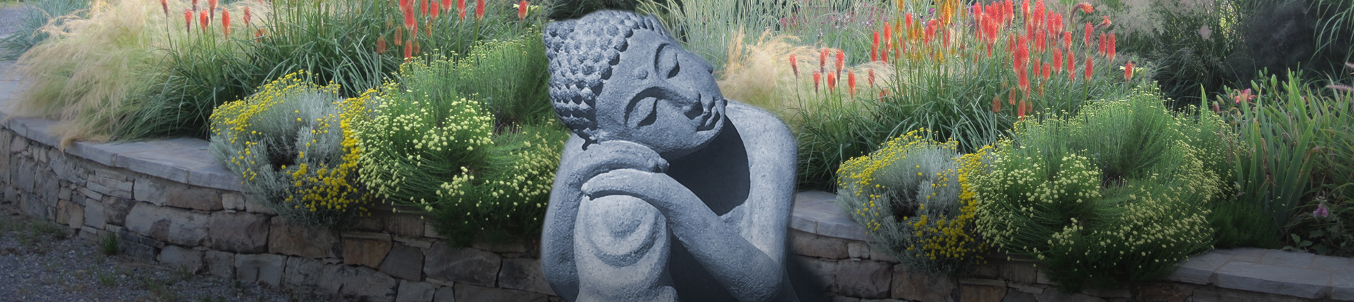 Practice_Study_Header_r3