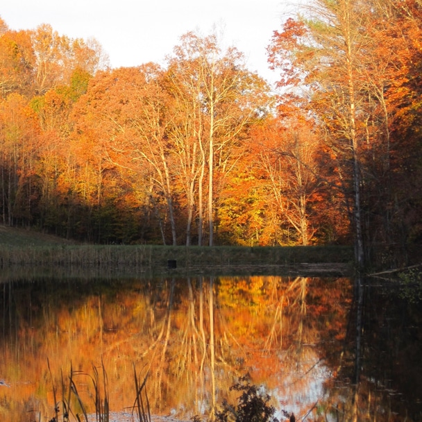 Virginia Pond in Autumn