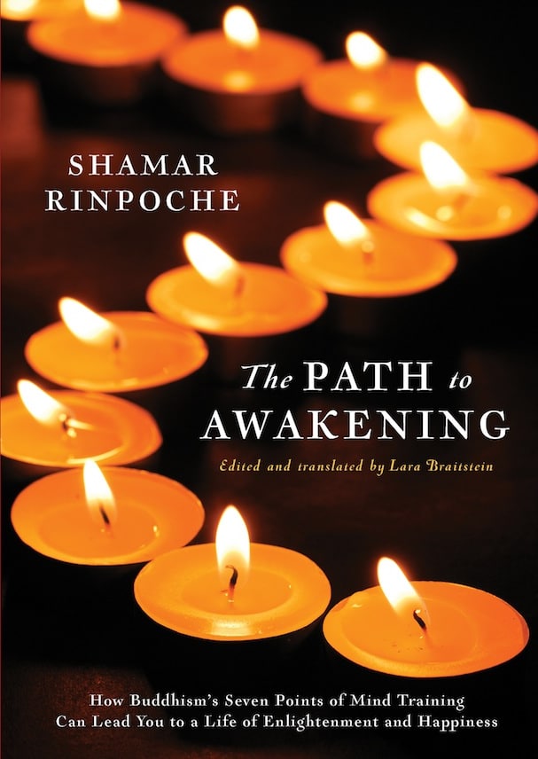 Study Block 1 - The Path to Awakening Cover