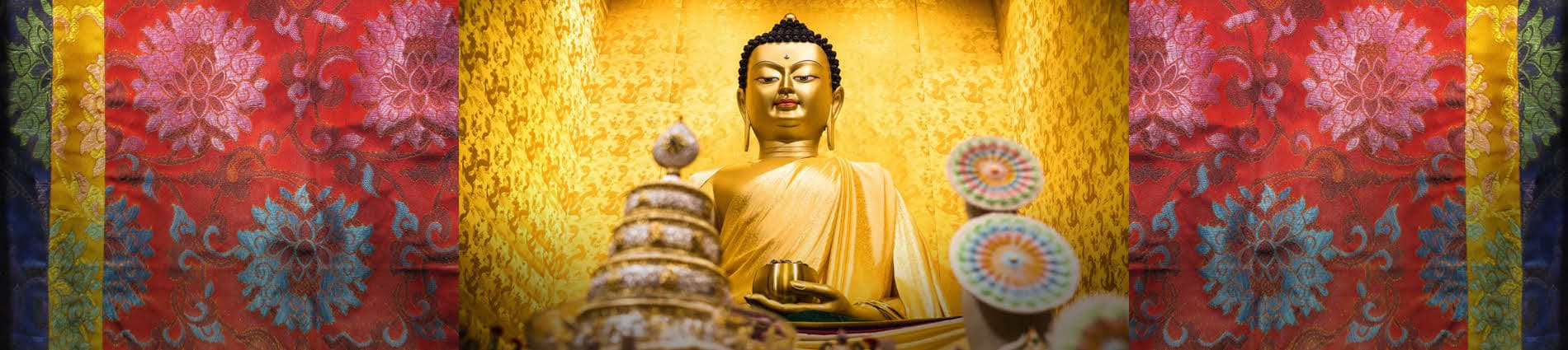 Includes Photo by Tokpa Korlo