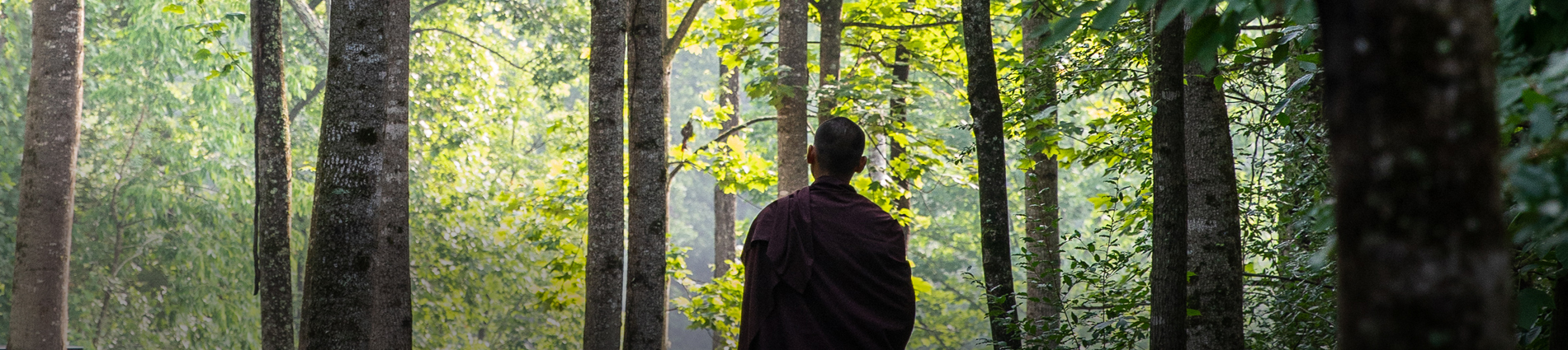 Teachers_Main_Header_r3